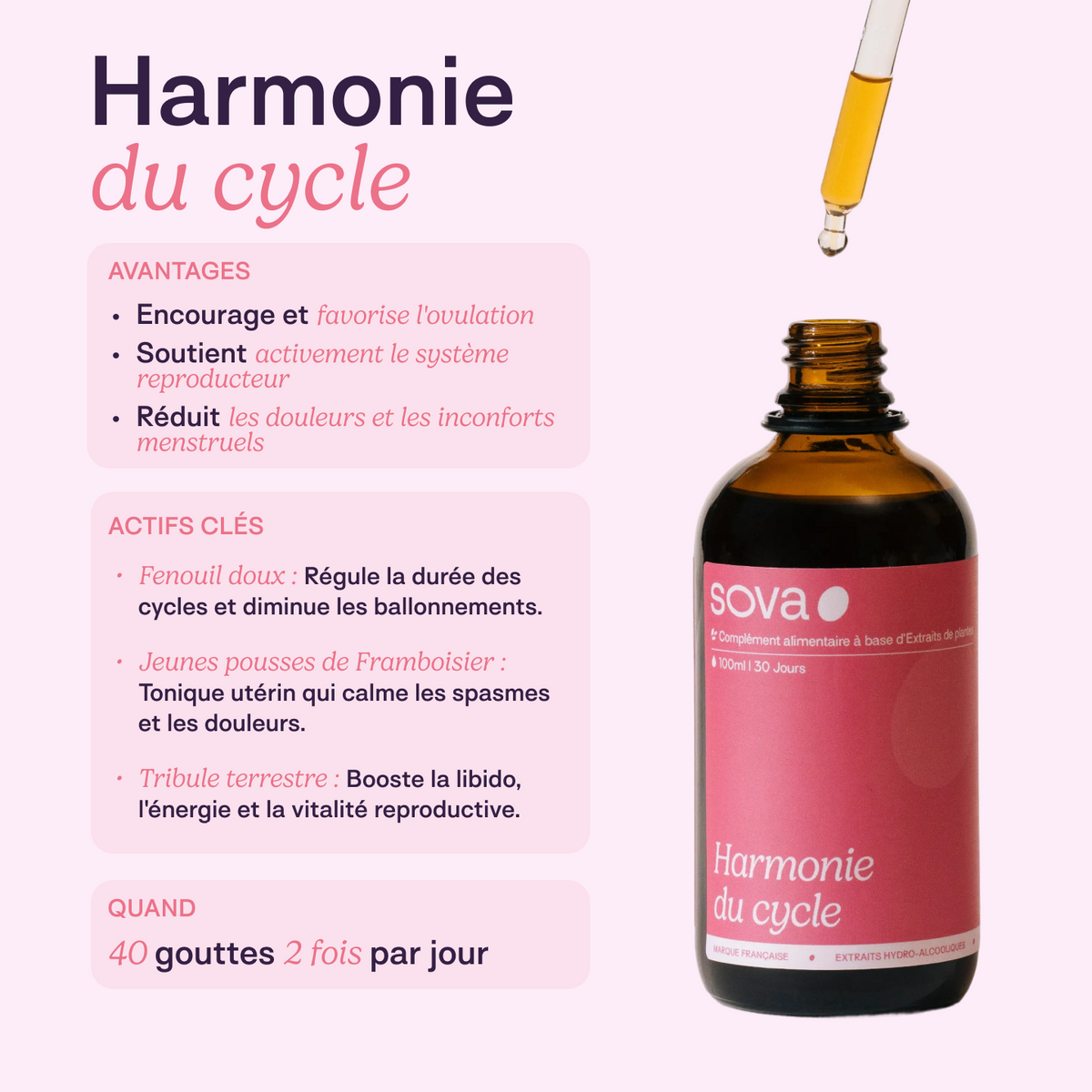 Protocole Projet Bébé