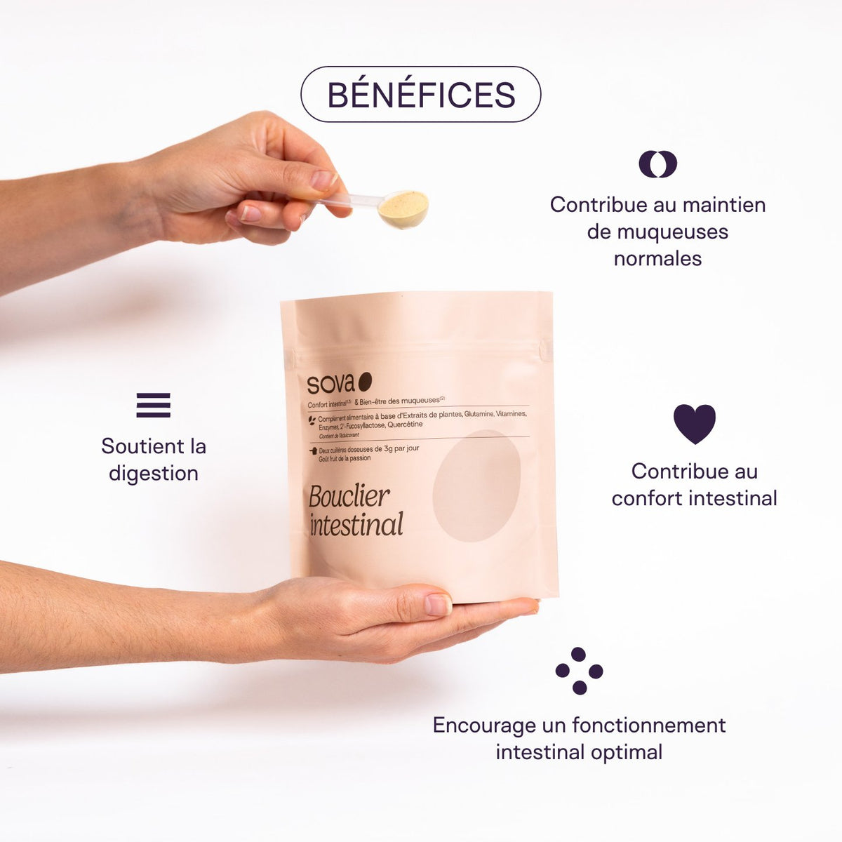 Bouclier intestinal - soutient la digestion, contribue au maintien de muqueuses normales, fonctionnement intestinal optimal, confort intestinal