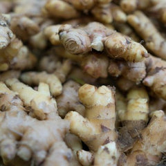 Racines de gingembre
