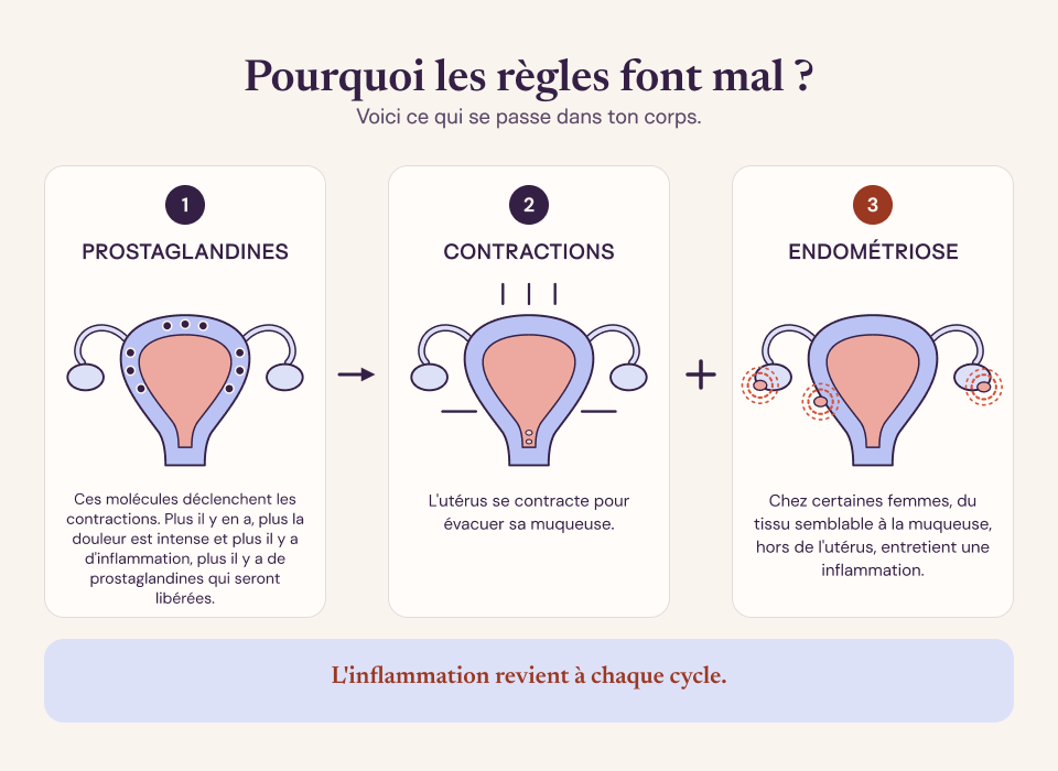 Schéma : pourquoi les règles font mal, prostaglandines, contractions et endométriose